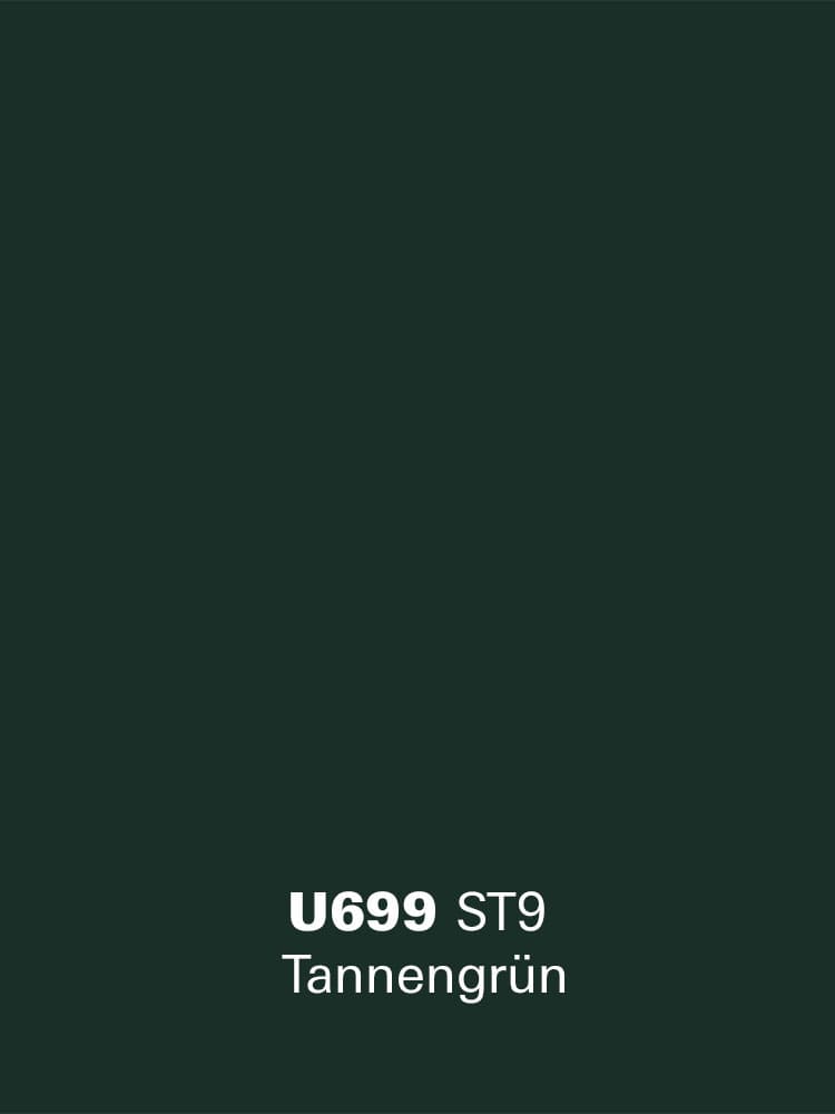 U699_ST9_Tannengrün